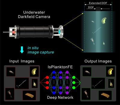 Deep focus-extended darkfield imaging for in situ observation of marine plankton